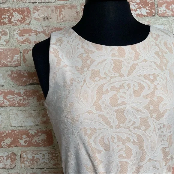 HEARTSOUL Cream Lace Dress Sleeveless Large Fit Flare Light Blush - Picture 3 of 10